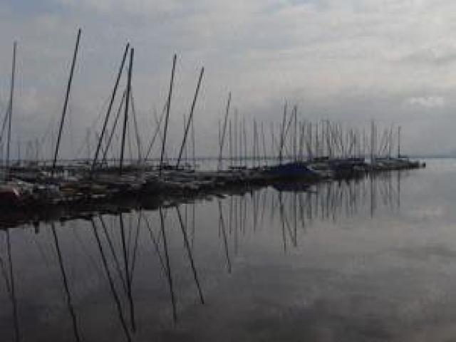 Bootsverleih Kielhorn   Steg N 21 -  Bootsliegeplätze am Steinhuder Meer - 1